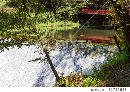 初秋の頃菊池渓谷の美しい渓谷美風景 初秋の頃菊池渓谷の美しい渓谷美風景 81735633