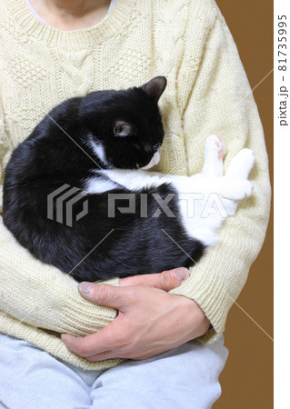 腕の中で眠る猫 腕の中で眠る猫 81735995