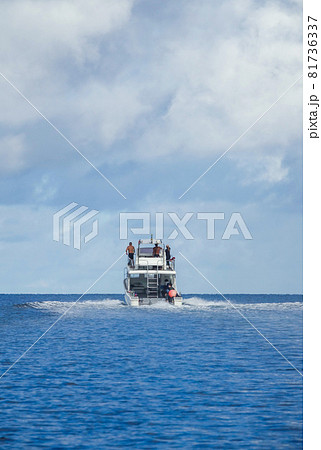 世界自然遺産 沖縄県・西表島 西部 舟浮 81736337