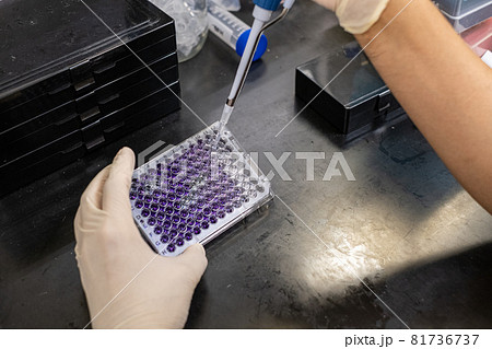 研究者・大学院生の日常(プレートの確認) 研究者・大学院生の日常(プレートの確認) 81736737