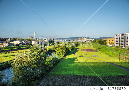 《愛知県》名古屋都市風景 矢田川河川敷 《愛知県》名古屋都市風景 矢田川河川敷 81736870