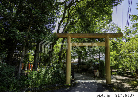 天橋立 元伊勢 籠神社 鳥居 京都府宮津市 天橋立 元伊勢 籠神社 鳥居 京都府宮津市 81736937