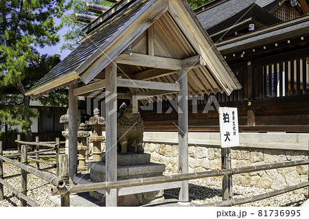 天橋立　元伊勢　籠神社　狛犬　京都府宮津市 81736995