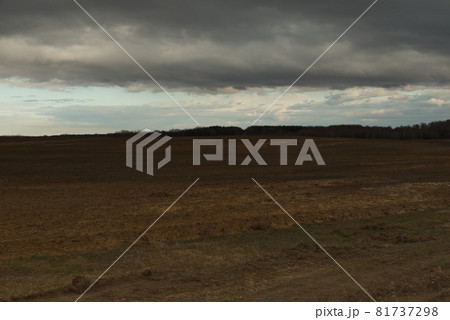 Horizon over agricultural fields in the evening. Overcast landscape. Horizon over agricultural fields in the evening. Overcast landscape. 81737298