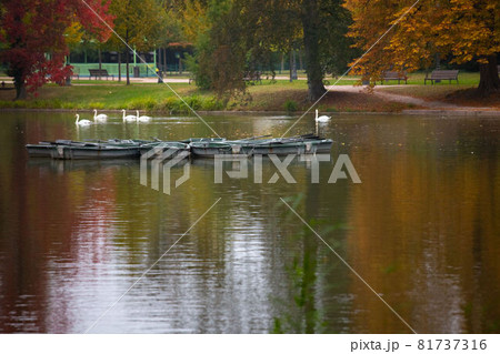 Boat circle on a lake in a park in autumn Boat circle on a lake in a park in autumn 81737316