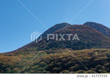 九重連山　坊がつるの秋 81737550