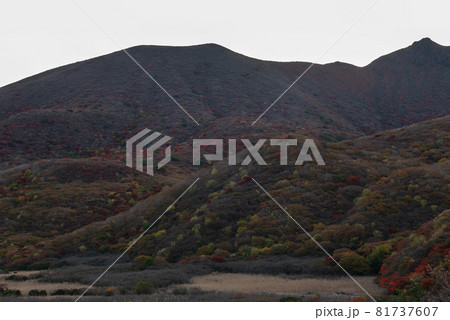 九重連山　坊がつるの秋 81737607