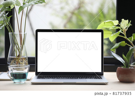 Laptop and Butterfly Pea flower tea and notebooks with plant pot on wooden desk Laptop and Butterfly Pea flower tea and notebooks with plant pot on wooden desk 81737935