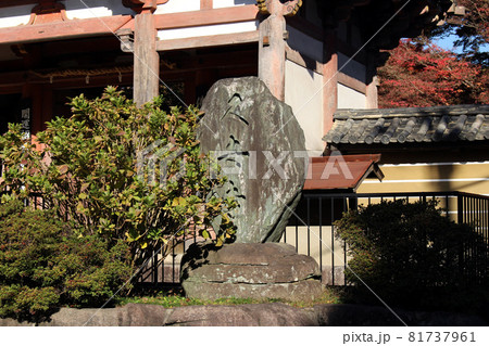 久安寺紅葉 久安寺紅葉 81737961