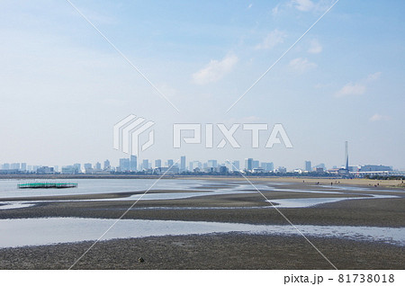 三枚洲(葛西海浜公園の沖合い)から都心の高層ビル群を望む/東京都江戸川区 三枚洲(葛西海浜公園の沖合い)から都心の高層ビル群を望む/東京都江戸川区 81738018
