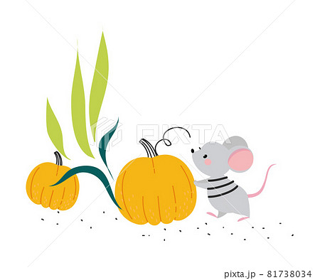 Cute Mouse as Farm Animal on Ranch Pushing Pumpkin Vector Illustration 81738034