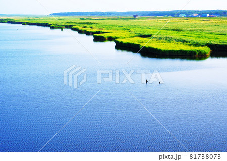 夏の 天塩川 北海道 夏の 天塩川 北海道 81738073