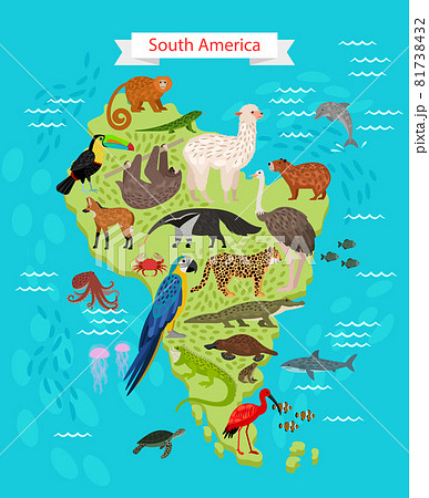 Different animals and Birds on South America Map 81738432