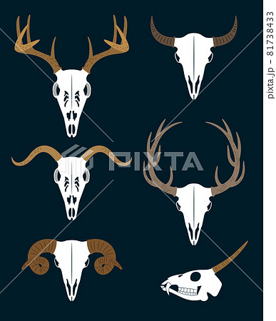 Set of skulls with horns of different animals 81738433