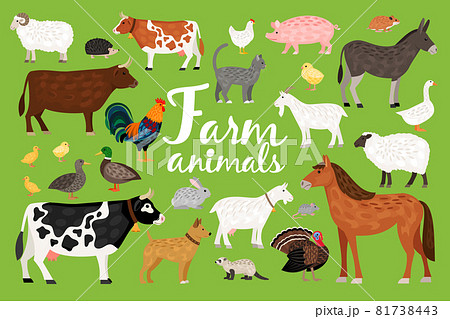 Horse, donkey, cow, goat  in Farm Animals collection 81738443
