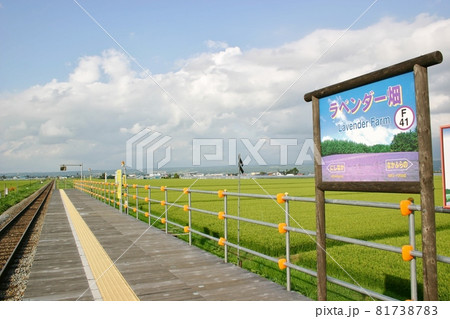 富良野線 ラベンダー畑駅（1） 81738783