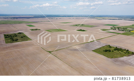 Extensive, plowed agricultural fields, aerial view. Small green groves among arable fields. 81738913