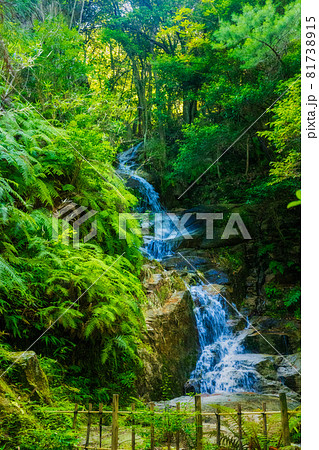夏の三滝寺、駒が滝（広島県広島市） 81738915