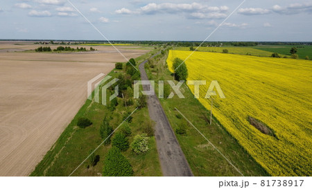 Scenic farm fields under blue skies. Rape crops. Country road among the fields. 81738917