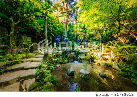 夏の三滝寺(広島県広島市) 夏の三滝寺(広島県広島市) 81738918