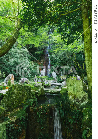 夏の三滝寺、二之瀧　梵音之瀧（広島県広島市） 81738921