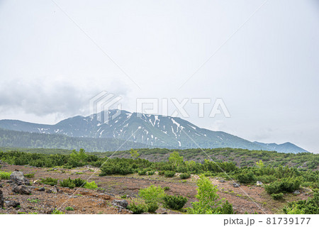望岳台から望む十勝岳連峰の風景 北海道美瑛町の観光イメージ 望岳台から望む十勝岳連峰の風景 北海道美瑛町の観光イメージ 81739177