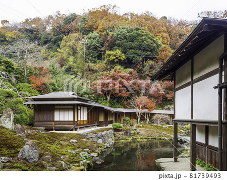 鎌倉・海蔵寺の紅葉　庭園 81739493