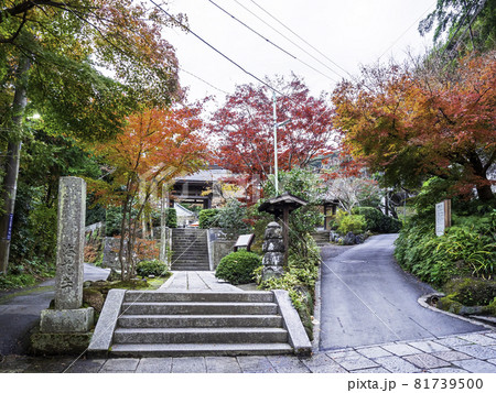 鎌倉・海蔵寺の紅葉 81739500