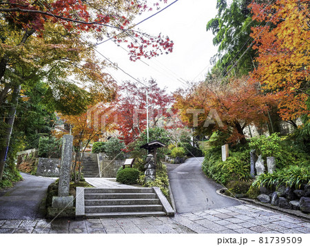 鎌倉・海蔵寺の紅葉 81739509