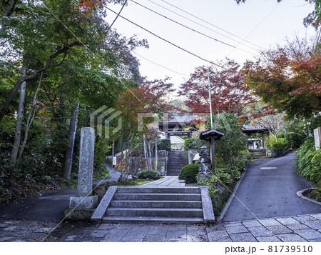 鎌倉・海蔵寺の紅葉 鎌倉・海蔵寺の紅葉 81739510