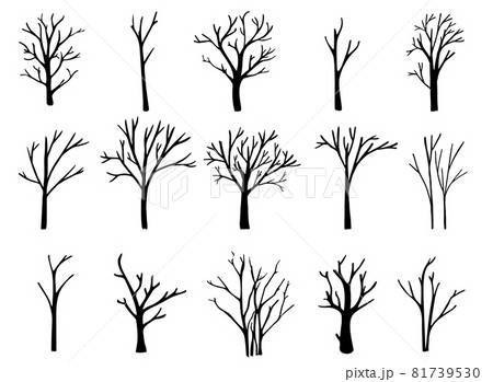Naked trees silhouettes set. Hand drawn isolated illustrations. 81739530