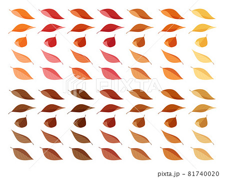 落ち葉のイラスト素材セット_紅葉と枯れ葉_普通っぽい葉っぱ_フラット 81740020