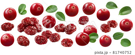 Fresh and dried ranberry set isolated on white background Fresh and dried ranberry set isolated on white background 81740752