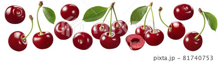 Wild cherry set isolated on white background. Red berries and leaves. Wild cherry set isolated on white background. Red berries and leaves. 81740753