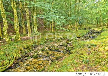 Sierra de la Demanda Protected Area, La Rioja, Spain 81741365