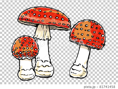 Three fly agaric prints with different growth stages Three fly agaric prints with different growth stages 81741458