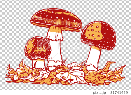 Three fly agaric with different growth stages in the fallen leaves, drawn with a brush and painted in two colors Three fly agaric with different growth stages in the fallen leaves, drawn with a brush and painted in two colors 81741459