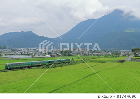 聳える由布岳の麓をのんびりと走るキハ71系気動車_特急「ゆふいんの森」_2021/8/8撮影 聳える由布岳の麓をのんびりと走るキハ71系気動車_特急「ゆふいんの森」_2021/8/8撮影 81744690