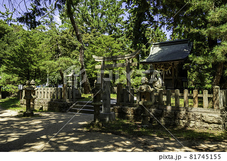 天橋立 天橋立神社 京都府宮津市 天橋立 天橋立神社 京都府宮津市 81745155
