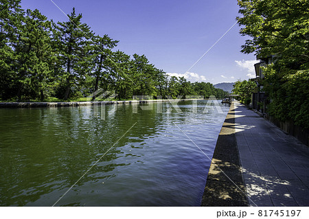 天橋立　文珠水道　京都府宮津市 81745197