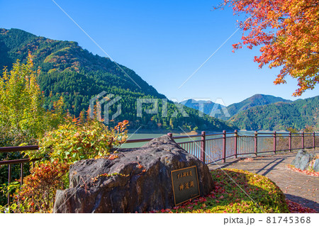 神流湖　下久保ダム　秋の風景　紅葉の季節　　 81745368