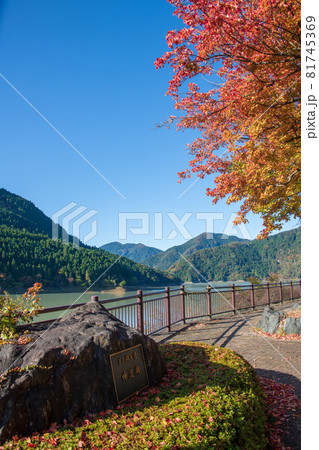 神流湖　下久保ダム　秋の風景　紅葉の季節　　 81745369