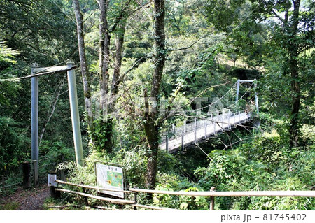 さえずりの森公園吊り橋 さえずりの森公園吊り橋 81745402