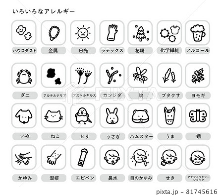 いろいろなアレルギーセット いろいろなアレルギーセット 81745616
