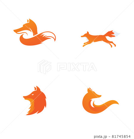 Fox vector illustration icon 81745854