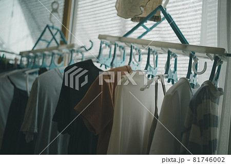 部屋干し 81746002