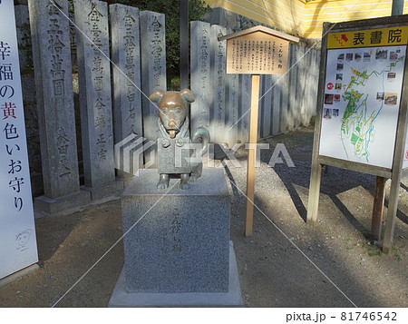 こんぴら狛_讃岐金刀比羅宮 81746542