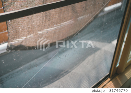 雨上がりの網戸 雨上がりの網戸 81746770