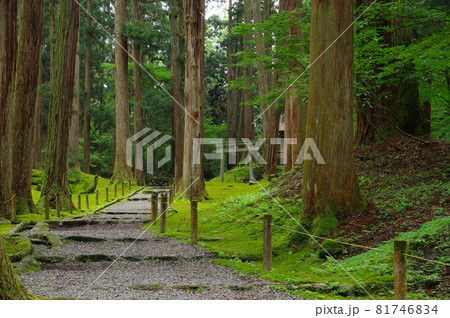 白山平泉寺 三宮への参道 白山平泉寺 三宮への参道 81746834
