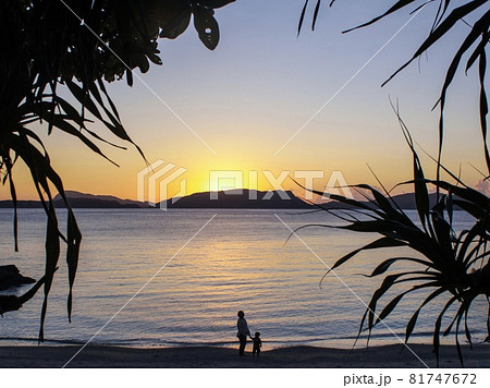 夕焼け親子 81747672